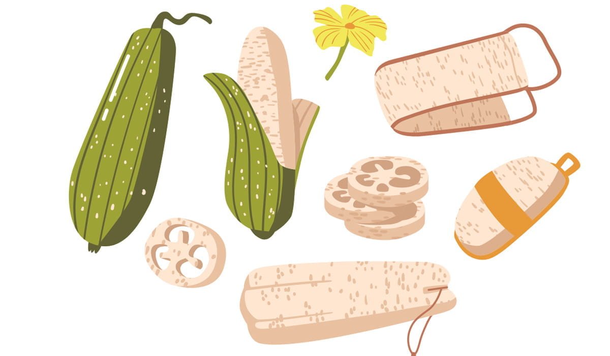 Natuurlijke scrubspons Natuurlijke scrubspons