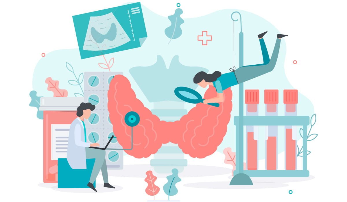 thyroid hormones thyroid hormones