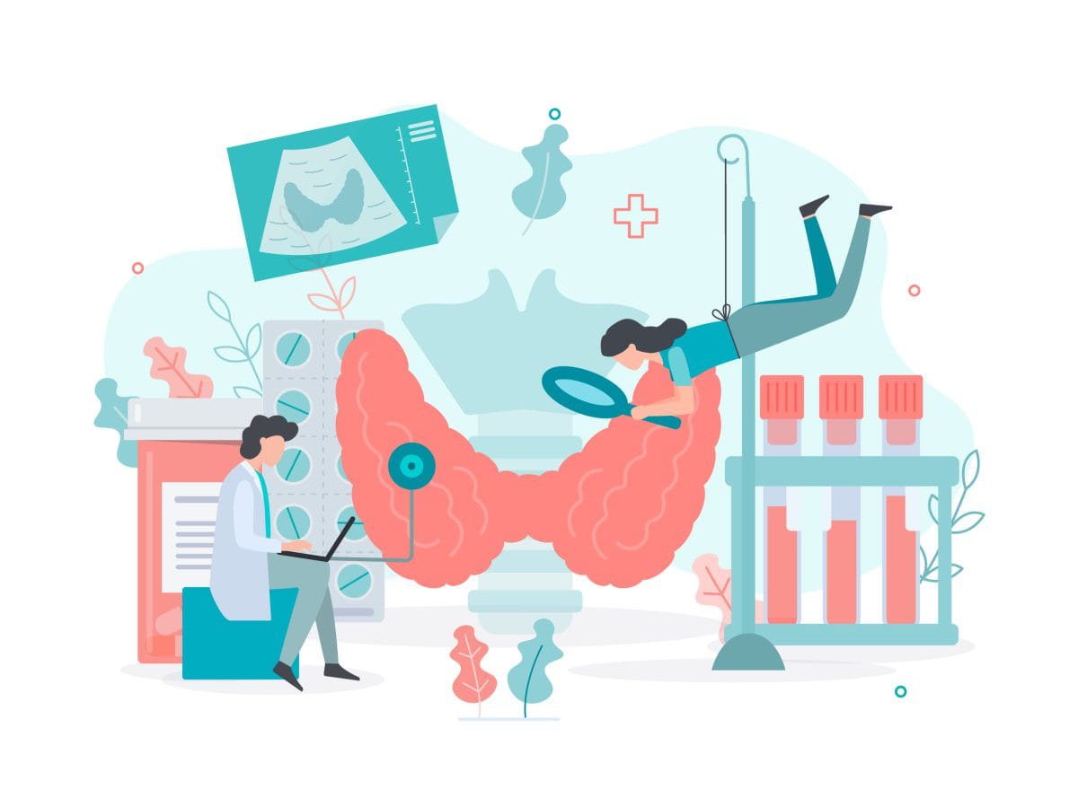 Diagnostics,And,Treatment,Of,Thyroid,Diseases.,Thyroid,Health,Concept,Medical Diagnostics,And,Treatment,Of,Thyroid,Diseases.,Thyroid,Health,Concept,Medical