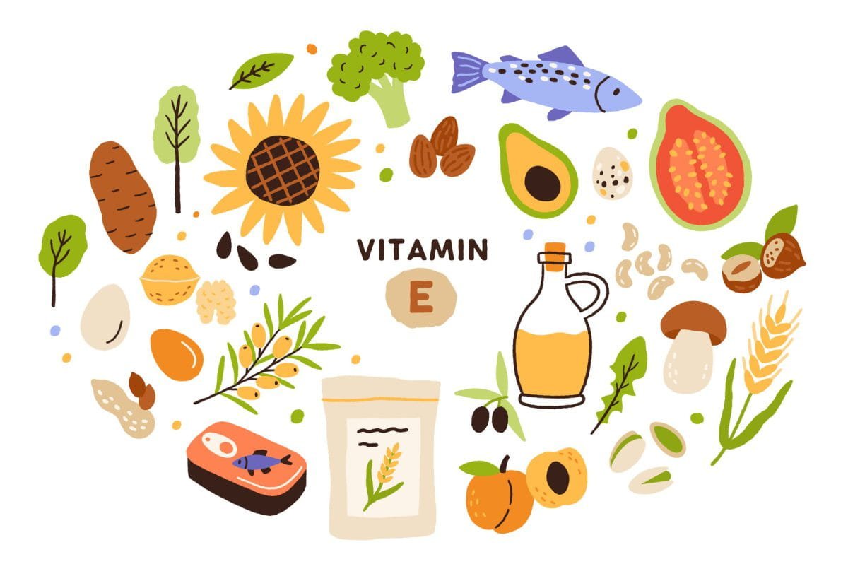 Collection,Of,Vitamin,E,Sources.,Balanced,Wholesome,Food.,Fruits,,Vegetables, Collection,Of,Vitamin,E,Sources.,Balanced,Wholesome,Food.,Fruits,,Vegetables,